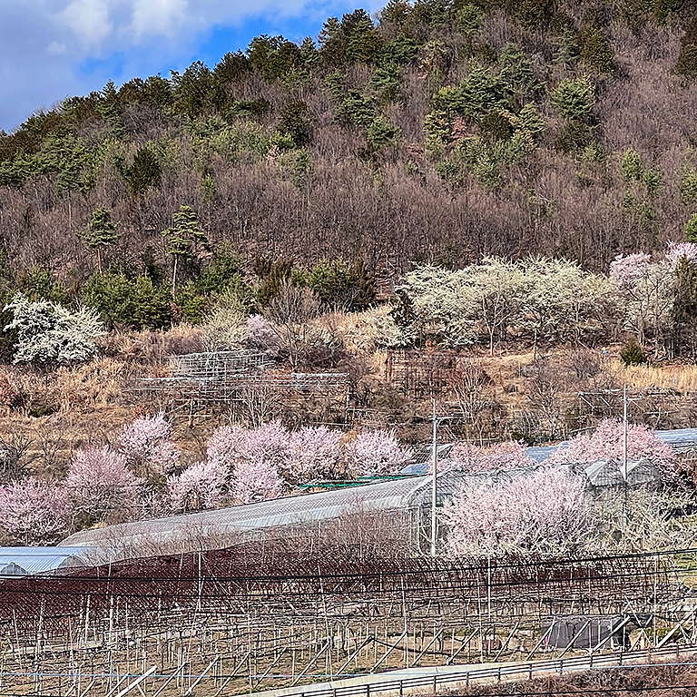 里山の風景
