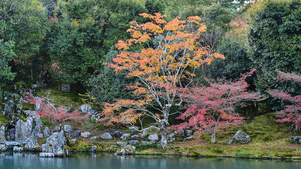 京都・天龍寺の庭園2