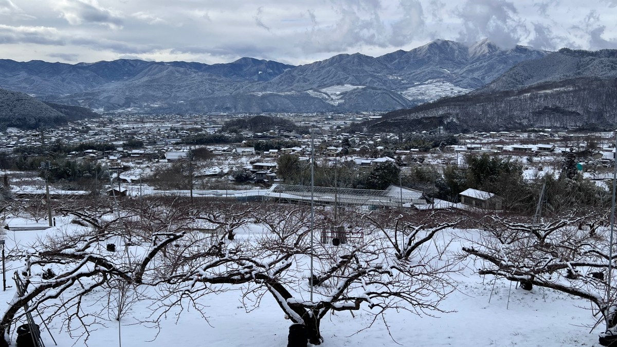 甲府盆地の雪景色