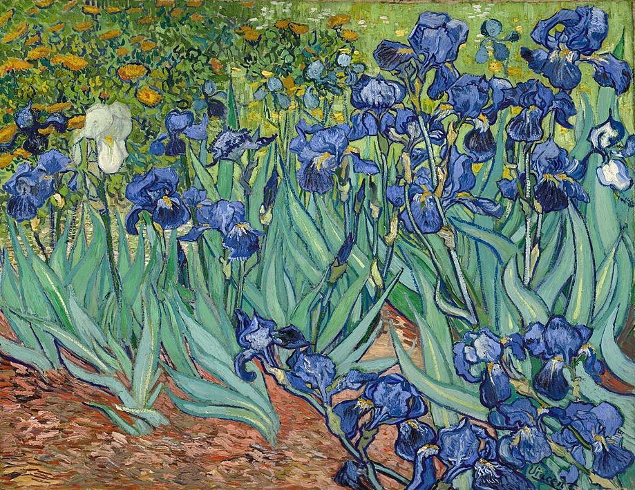 青い iris の花が咲いている美しい庭の風景。背景には様々な色の花が見える。
